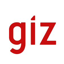 Picture of giz
