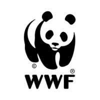 Picture of WWF